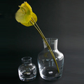花瓶　ガラス花瓶 LSA international NOVA　SS/M   ポーランド製